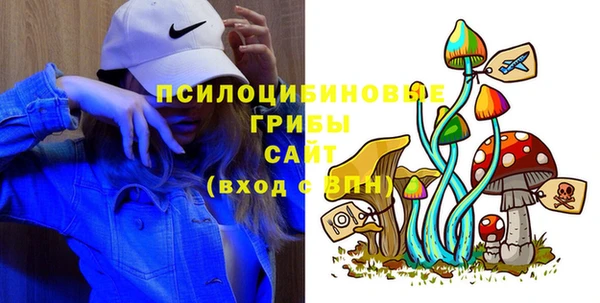 тгк Алексин