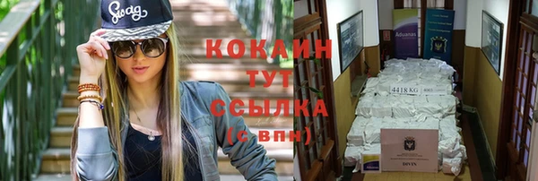 тгк Алексин