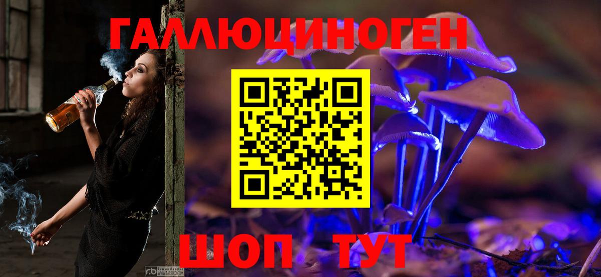 Дюртюли  Галлюциногенные грибы Psilocybe  Вход с VPN 